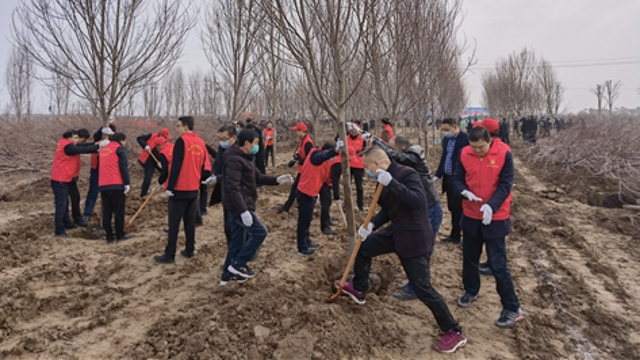 栽下樹苗，留下新綠