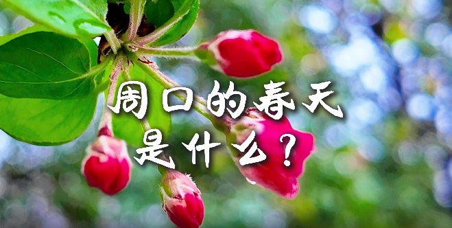 周口的春天，待你慢慢遇見